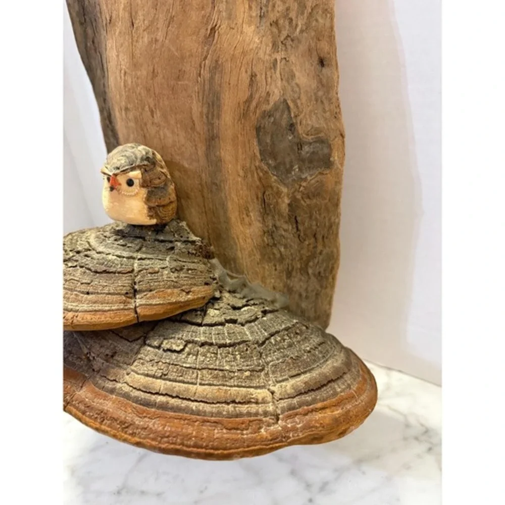 Driftwood with adorable‎ baby owl and mushrooms 14